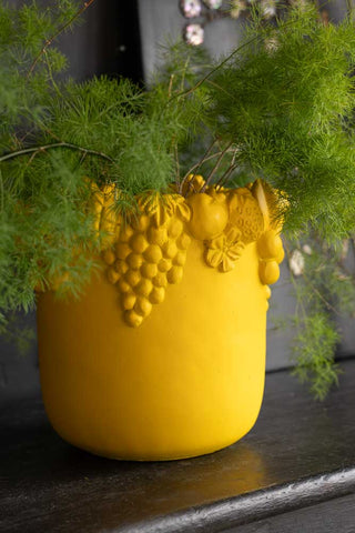 Lifestyle image of the You're So Golden Fruits Planter