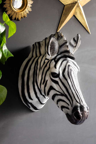 The Zebra Head Wall Art displayed on a black wall with a gold mirror, star ornament and a plant.
