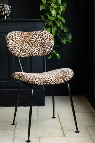 Image of the leopard print dining chair against a dark background