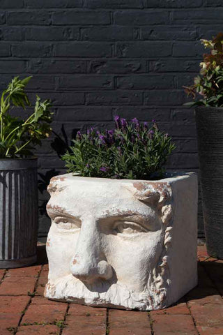 A garden plant pot featuring a mans head. The planter has a lavender plant in the top. The 