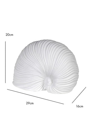 Dimension image of the White Faux Sea Snail Ornament
