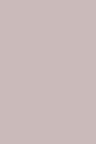 Block colour paint sample of 'bohemia', a pink-toned neutral. 