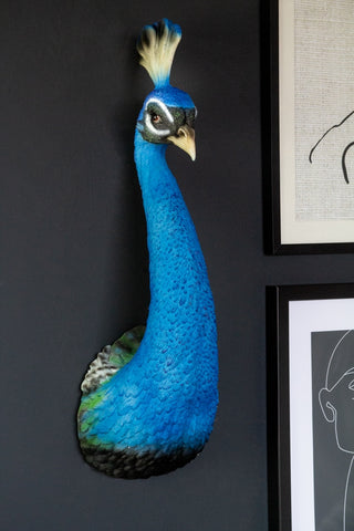 Front-on lifestyle image of the Beautiful Blue Peacock Head Wall Decoration