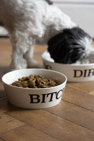 Detail image of the Bitch Pet Bowl - 2 Available Sizes