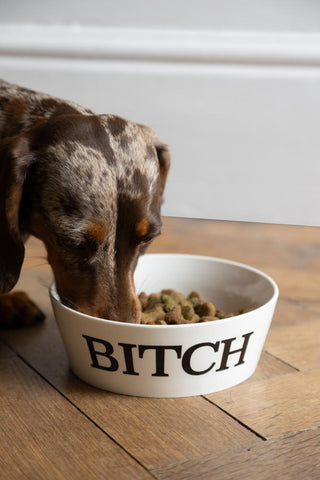 Close-up image of the Bitch Pet Bowl - 2 Available Sizes