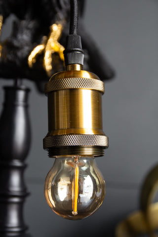 Image of the bulb holder with the Black Crow Table Lamp