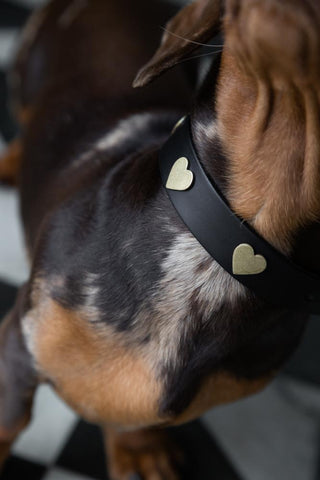 Image of the Black Leather Dog Collar With Hearts - 5 Available Sizes