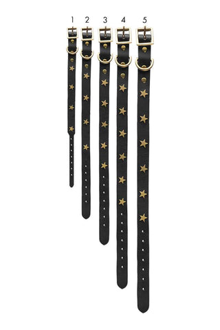 Image of the different sizes for the Black Leather Dog Collar With Stars