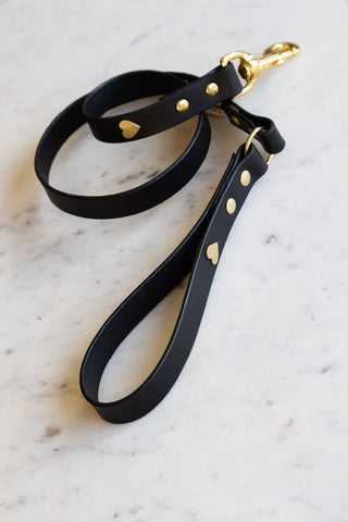 Lifestyle image of the Black Leather Dog Lead With Hearts