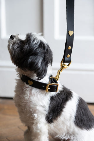 Detail image of the Black Leather Dog Lead With Hearts