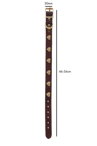 Image of the Brown Leather Dog Collar With Hearts - Size 5 on a white background