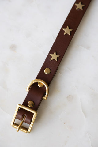 Close-up image of the Brown Leather Dog Collar With Stars - 5 Available Sizes