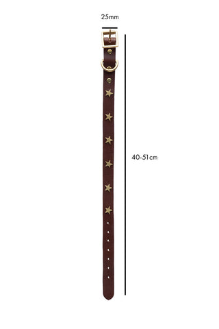 Image of the Brown Leather Dog Collar With Stars - Size 4 on a white background
