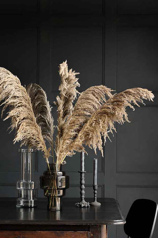 Lifestyle image of 5 Brown Pampas Stems together