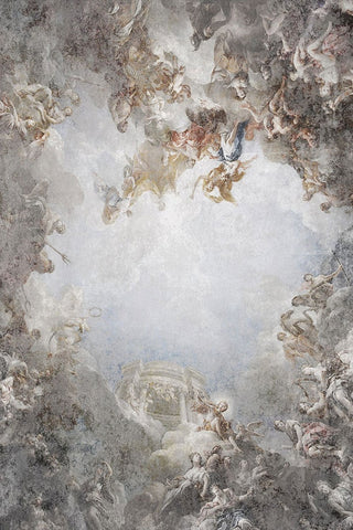 Ceiling Of The Chateau de Versailles Panoramic Wallpaper