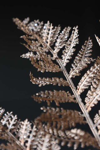 Detail image of the Champagne Coloured Fern Spray
