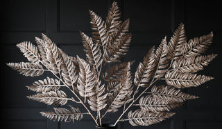 Landscape image of the Champagne Coloured Fern Spray