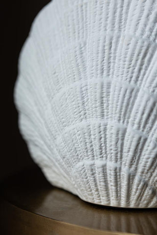 Close-up image of the Clam Gold Shell Table Lamp