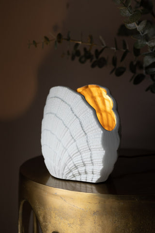 Image of the side of the Clam Gold Shell Table Lamp
