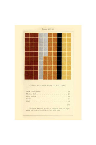 Image of the Colour Analysis 4 Art Print - Unframed