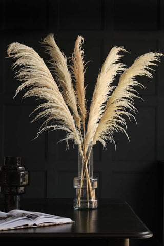 Lifestyle image of 5 Cream Pampas Stems in a vase
