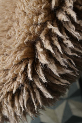 Image showing the texture of the Curly Sheepskin Rug In Butterscotch