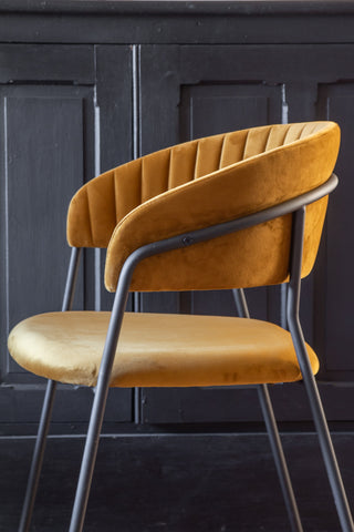 Close-up side image of the Curved Back Velvet Dining Chair In Golden Ochre