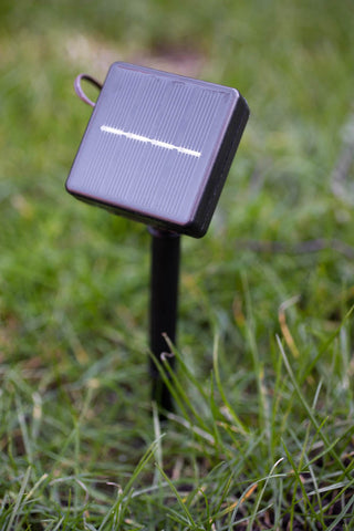 Image of the solar panel with the Dandelion Solar Light