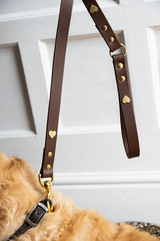 Close-up image of the Dark Brown Leather Dog Lead With Hearts