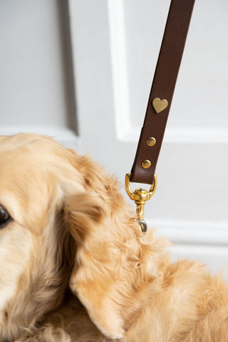 Image of the finish for the Dark Brown Leather Dog Lead With Hearts