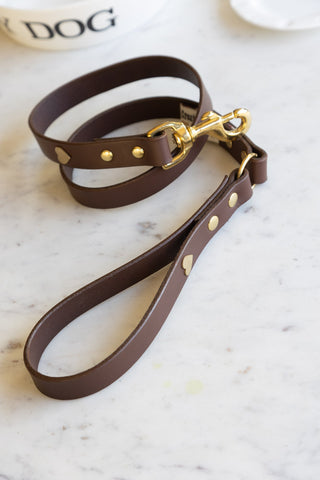 Lifestyle image of the Dark Brown Leather Dog Lead With Hearts