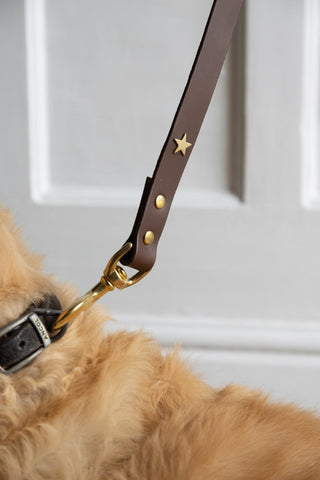 Close-up image of the Dark Brown Leather Dog Lead With Stars