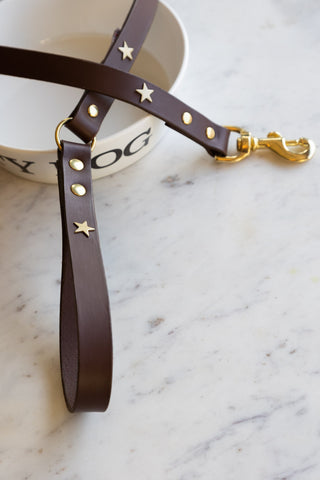 Detail image of the Dark Brown Leather Dog Lead With Stars