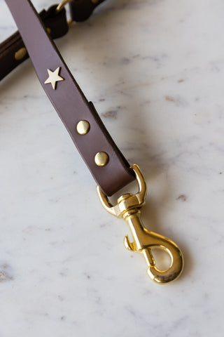 Image of the clip for the Dark Brown Leather Dog Lead With Stars