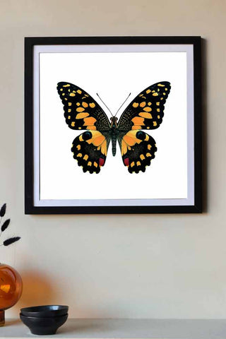 Deep Lime Swallowtail Butterfly Art Print - Framed Or Unframed