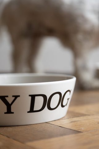 Image of the Dirty Dog Pet Bowl - 2 Available Sizes
