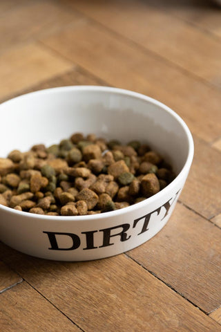 Detail image of the Dirty Dog Pet Bowl - 2 Available Sizes