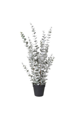 Image of the Faux Eucalyptus Plant In Pot on a white background