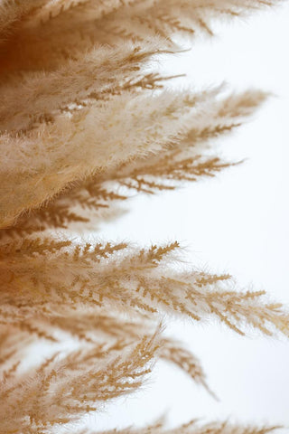 Image of the finish for the Small Faux Pampas Grass Christmas Tree