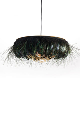 Image of the Juliette Fabulous Feather Chandelier Featuring Chains in Iridescent Black/ Electric Peacock on a white background