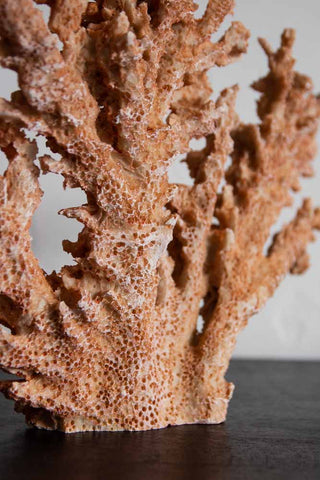 Close-up image of the base of the Faux Coral Ornament