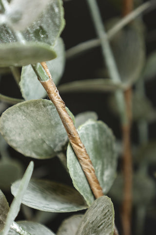 Image of the stem for the Faux Eucalyptus Plant In Pot