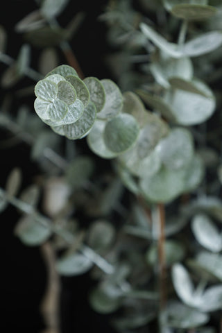 Detail image for the Faux Eucalyptus Plant In Pot