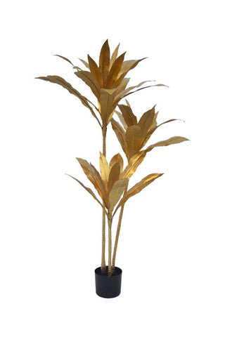 Image of the Faux Gold Dracaena Plant on a white background