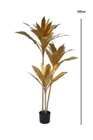 Dimension image of the Faux Gold Dracaena Plant
