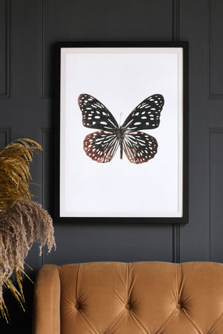 Image of the Framed Beautiful Marbled Butterfly Art Print