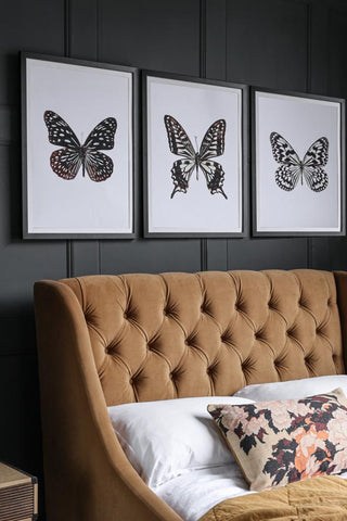 Image of 3 Butterfly Prints on a wall together featuring the Framed Beautiful Marbled Butterfly Art Print