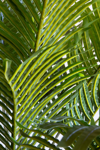 Close-up image of the leaves on the Giant Faux Palm Tree