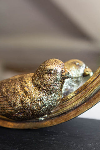 Close-up image of the parrot on the Gold Parrot Round Wall Mirror