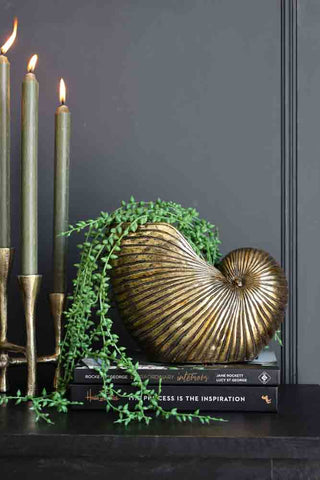 Lifestyle image of the Gold Shell Planter